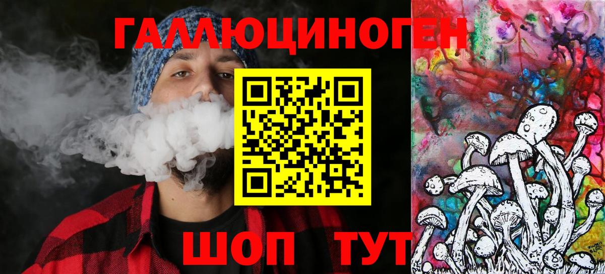 Галлюциногенные грибы Psilocybe Ростов-на-Дону