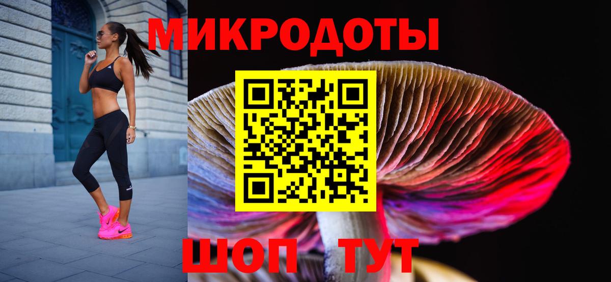 Ростов-на-Дону  Псилоцибиновые грибы Cubensis  купить  цена  Вход с VPN 